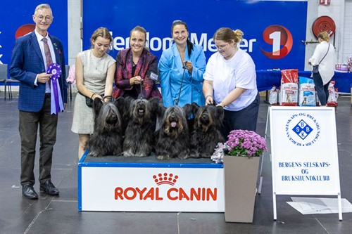 Beste oppdretterklasse søndag.jpg